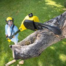 Best Tree Health Inspection  in Marion, WI