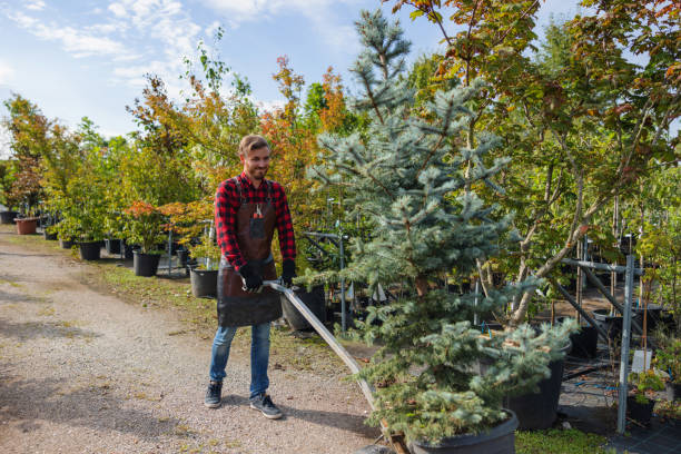 Best Storm Damage Tree Cleanup  in Marion, WI